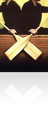 ������Ԫ��÷���